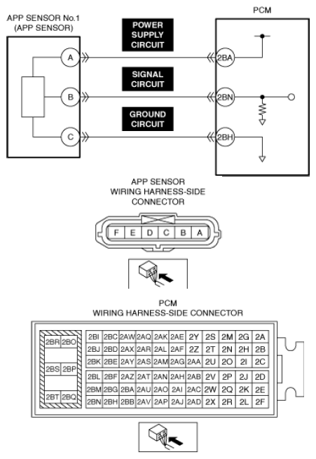 G13556226