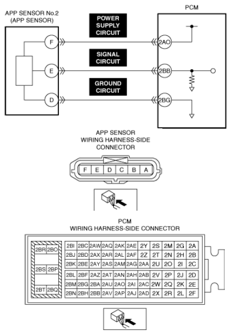 G13556228