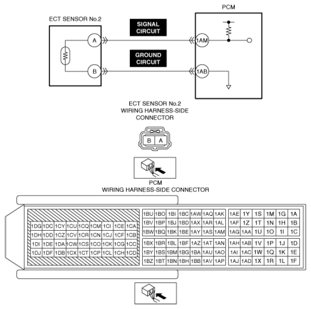 G13556231
