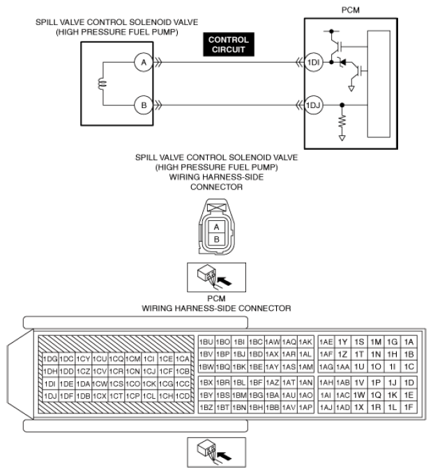 G13556312