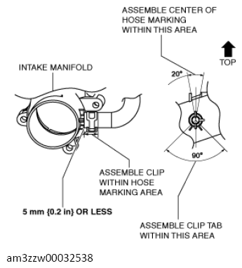 G13557126