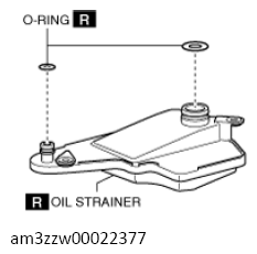 G13558558