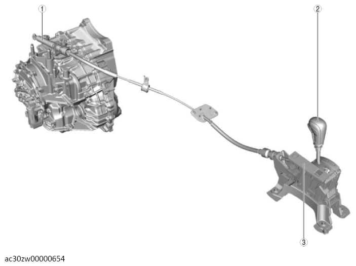 G13558885