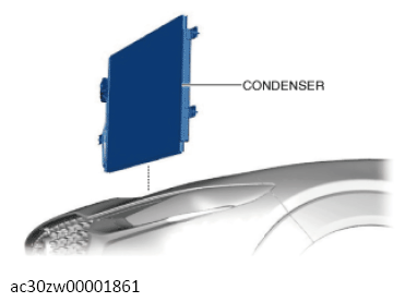 G13559145