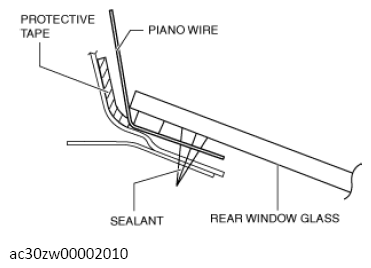 G13560156