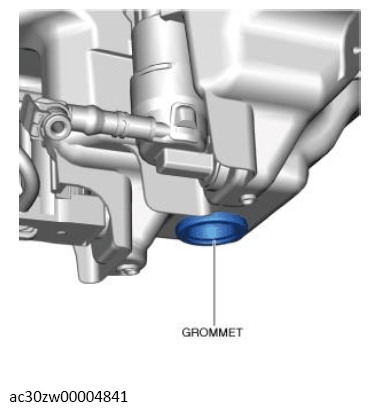 G13560969