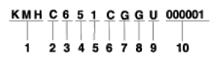 G13562325