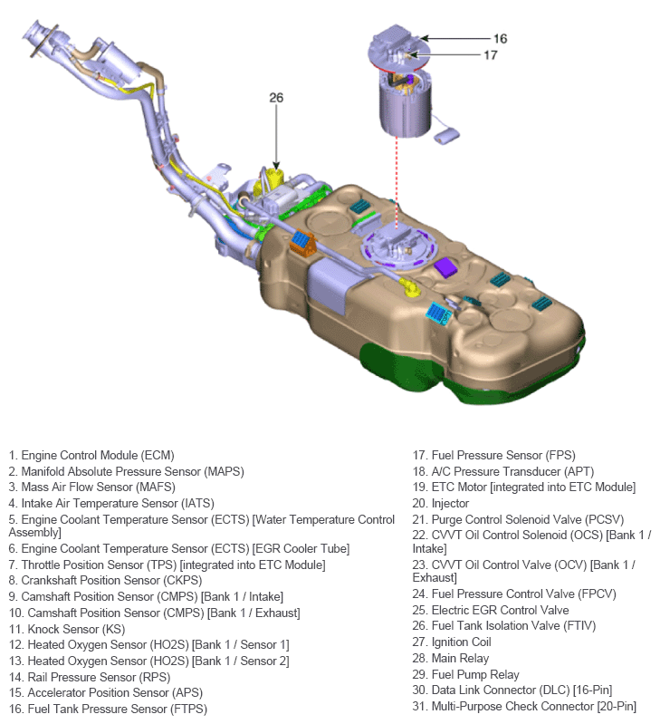 G13562958