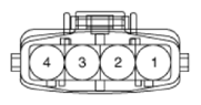 G13562981