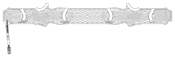 G13563729