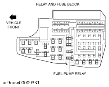 G13569796