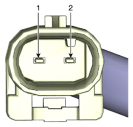 G13576086