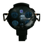 G13578838