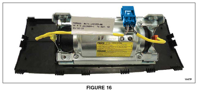 G13595319