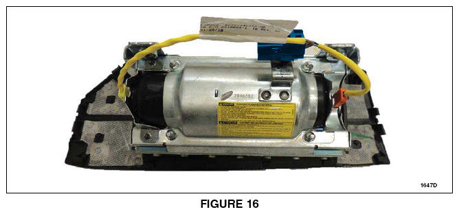G13595336