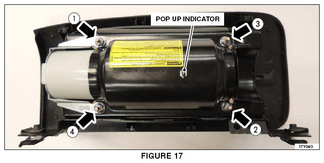 G13595354