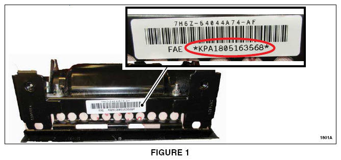 G13595379