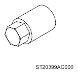 G13619521
