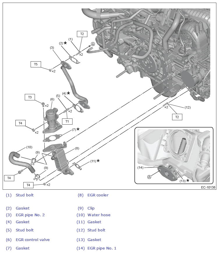 G13619846