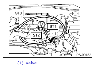 G13648486