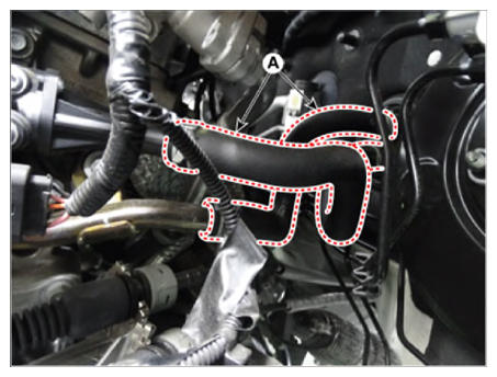 G13704285