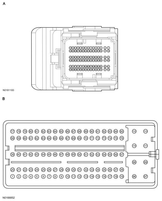 G13711584