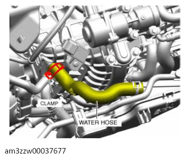 G13713054