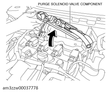 G13714174