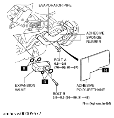G13728854