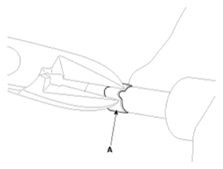 G13843272