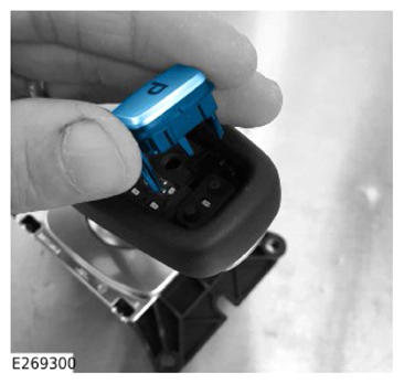 G13898780