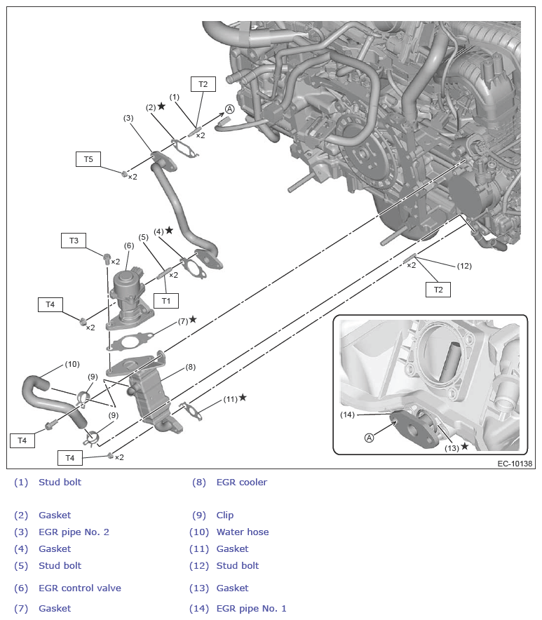 G13948564