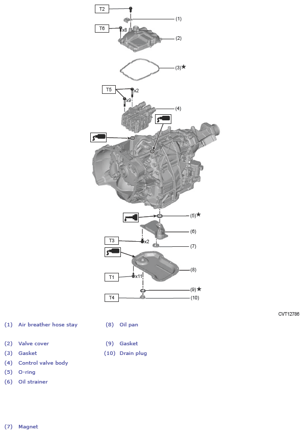 G13950206