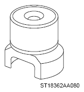 G13950256