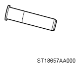 G13950261