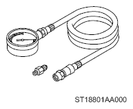 G13950275