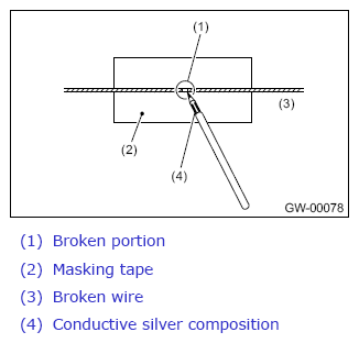 G13953381