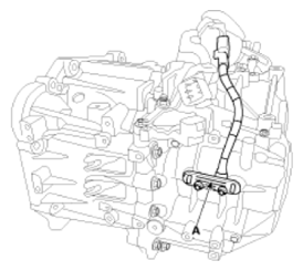 G14116961