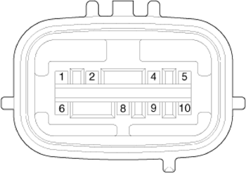 G14175446