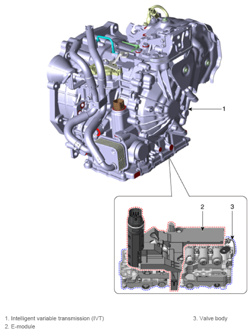 G14564631