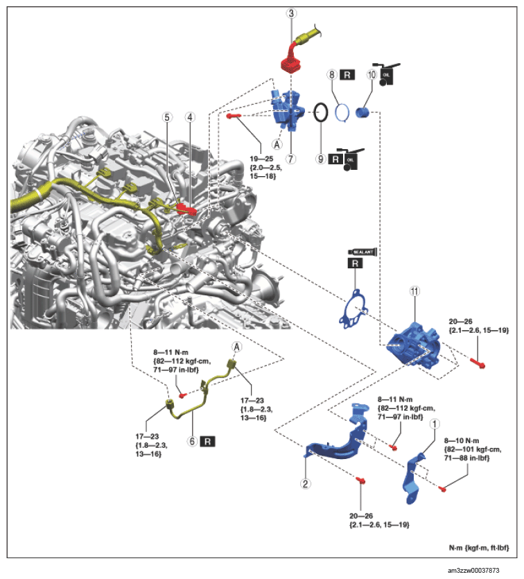 G14579398