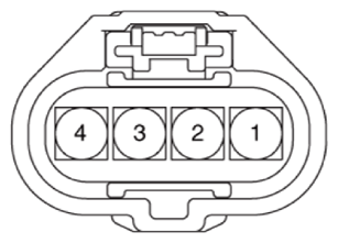 G14596395