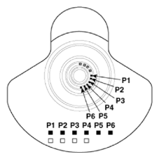G14728136
