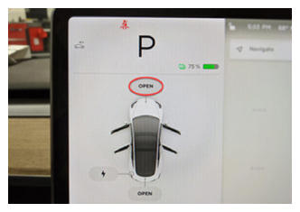 G14839572