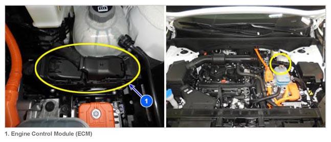 G14942910