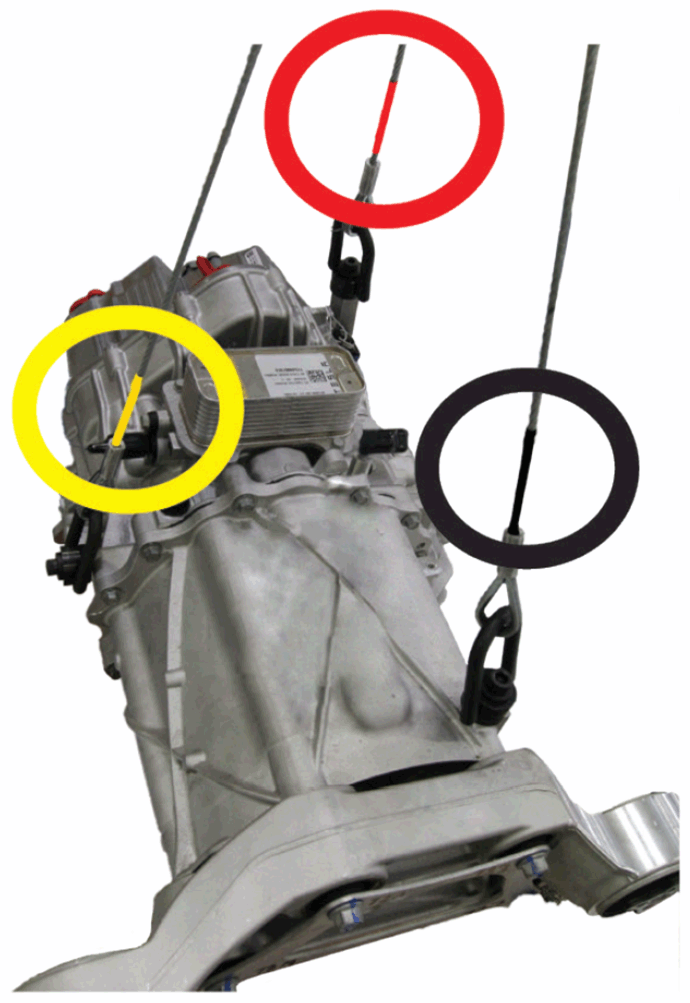G14982255