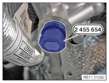 G15383636