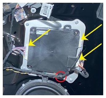 G15391158
