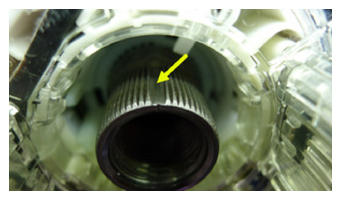 G15411187