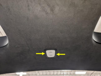 G15437953